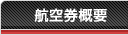 航空券概要