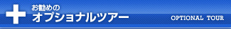 お勧めのオプショナルツアー